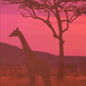 Meet your Posher, Kelcie